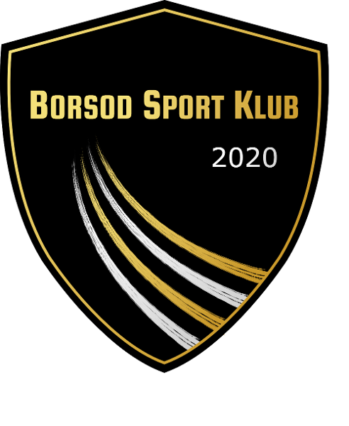 Borsod SK Kazincbarcika II.
